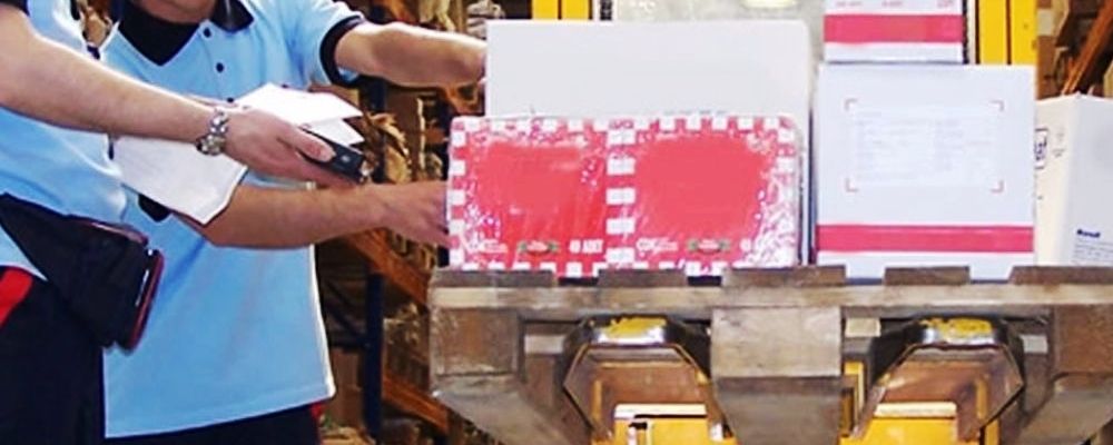 banner-0-TRANSEGUR